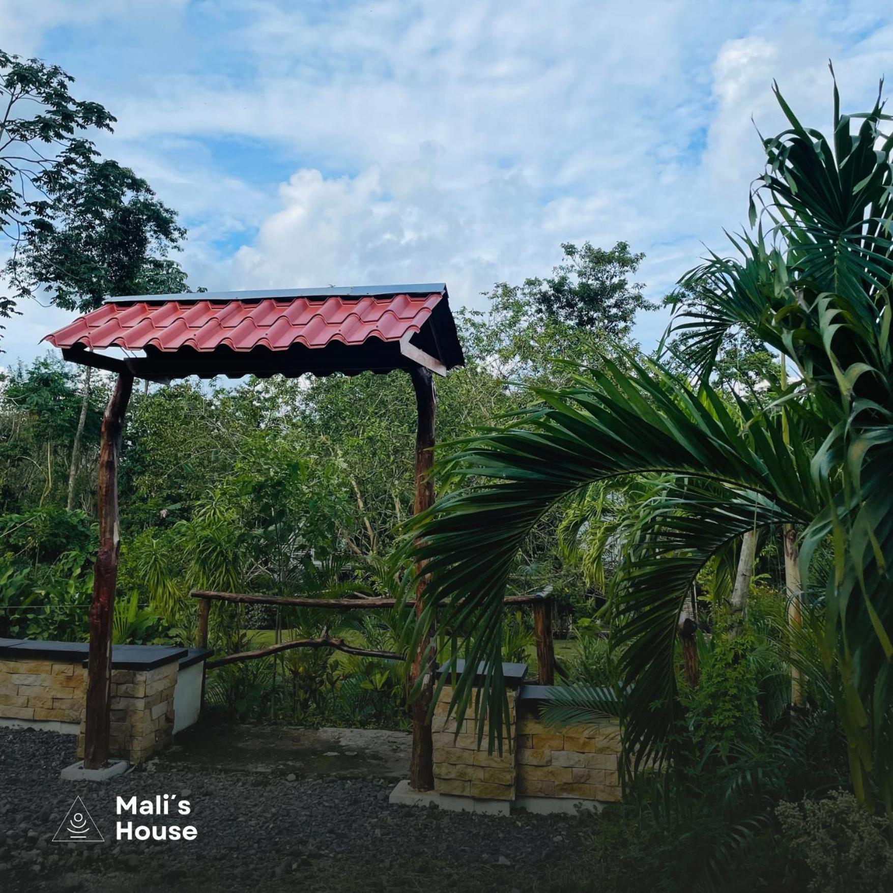 Mali'S House Hotel La Fortuna Bagian luar foto