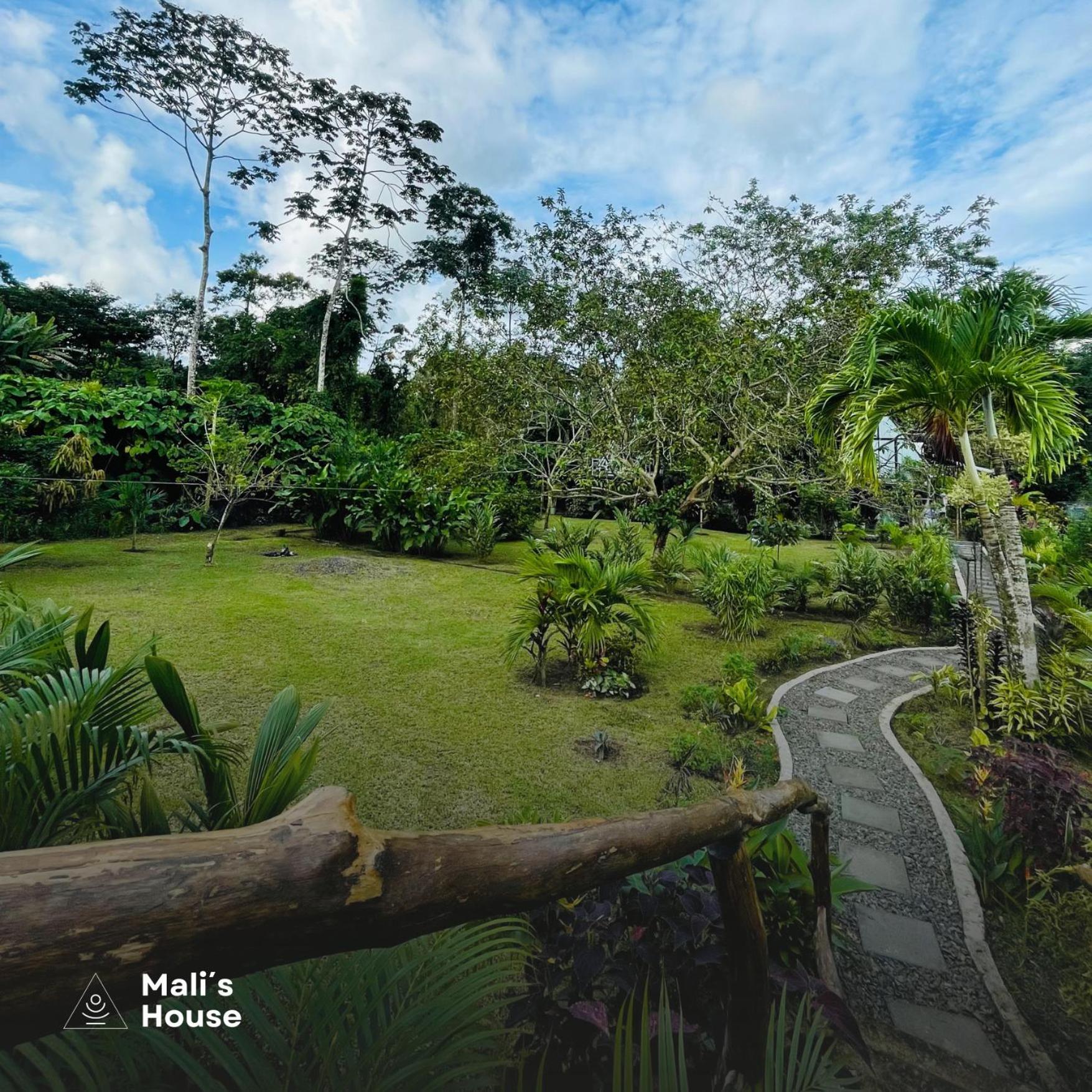 Mali'S House Hotel La Fortuna Bagian luar foto