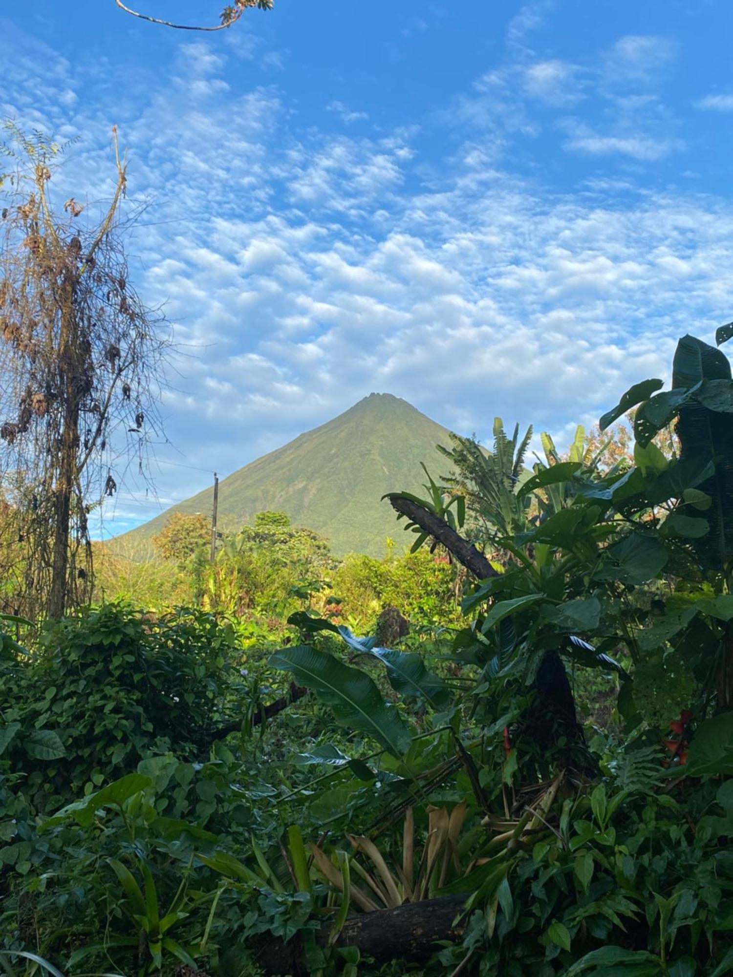 Mali'S House Hotel La Fortuna Bagian luar foto
